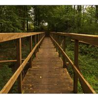 Endern-Golden Gate-01