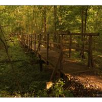 Endern-Golden Gate-02