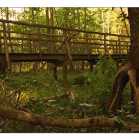 Endern-Golden Gate-03