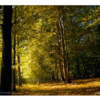 Kisdorferwohld-Das Paradies-02